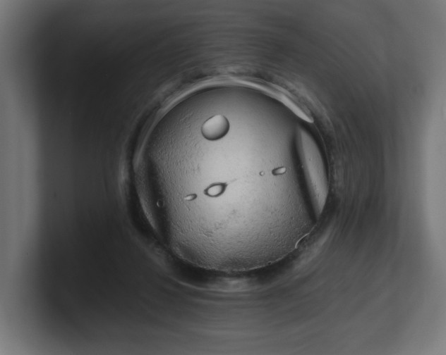 X0000101650260200807171259