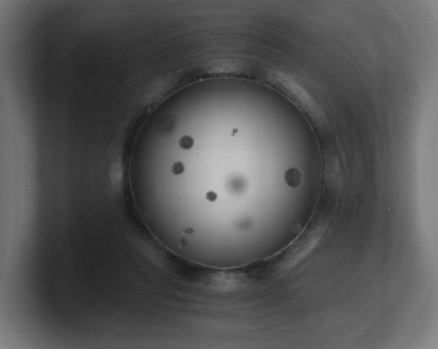 X0000101650261200807171259