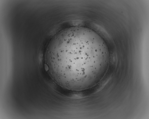 X0000101650263200807171259