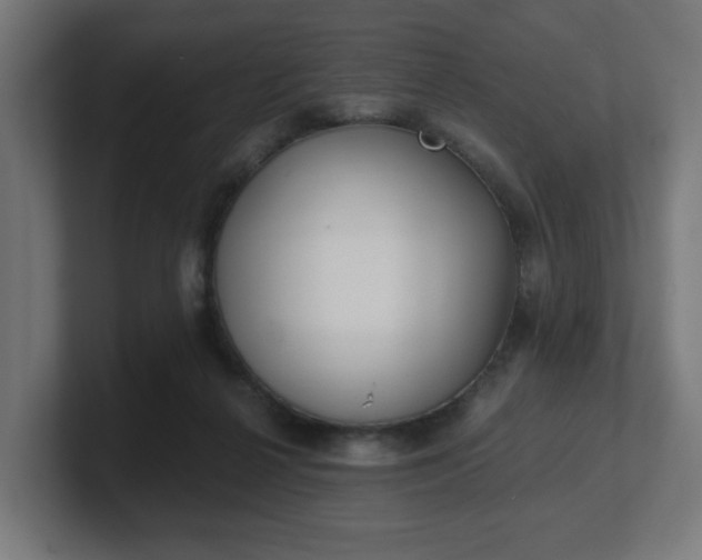 X0000101650264200807171259