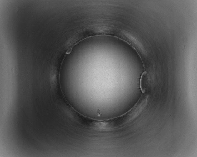 X0000101650265200807171259