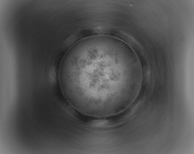 X0000101650266200807171259