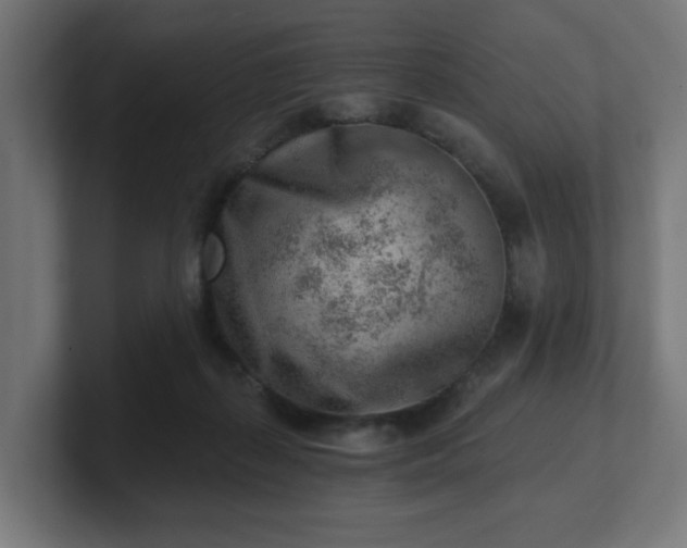 X0000101650267200807171259