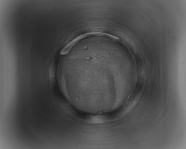 X0000101650268200807171259