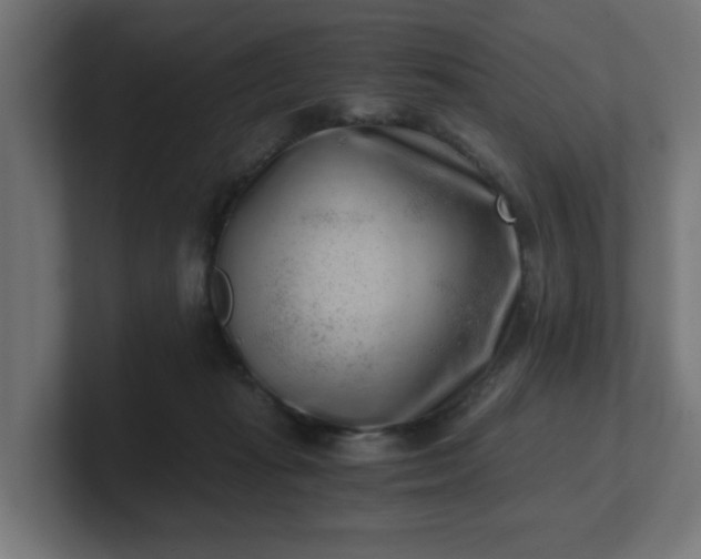 X0000101650269200807171259