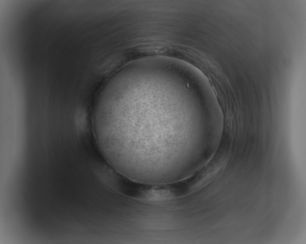 X0000101650270200807171259