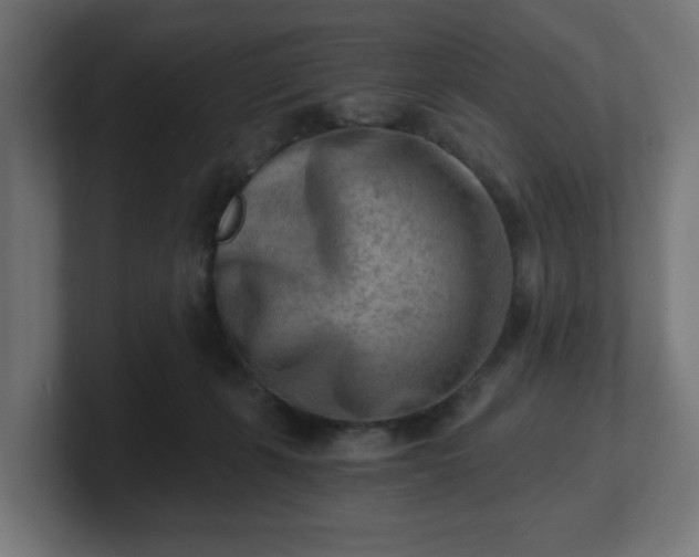 X0000101650271200807171259