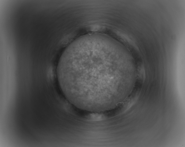 X0000101650272200807171259