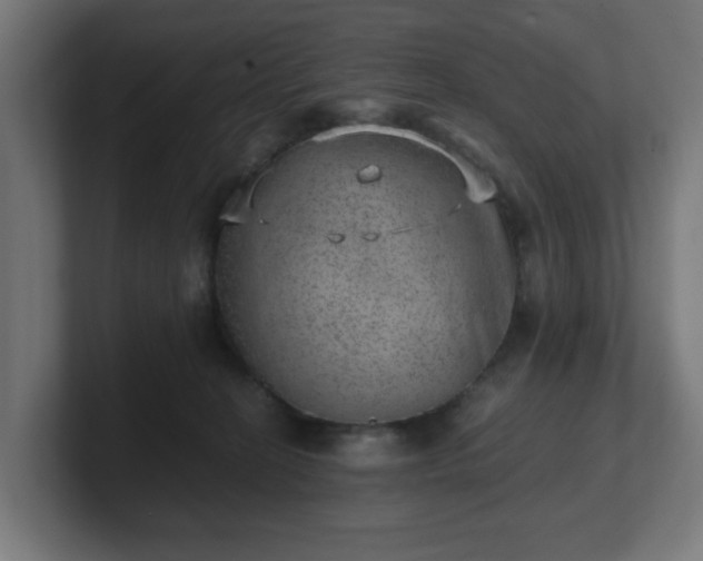 X0000101650274200807171259