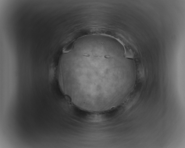 X0000101650276200807171259