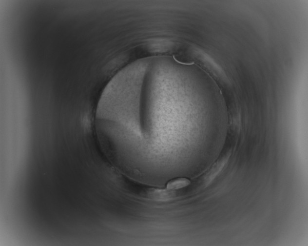 X0000101650277200807171259