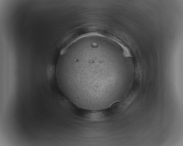 X0000101650278200807171259