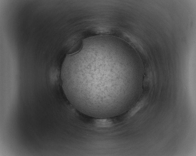 X0000101650281200807171259