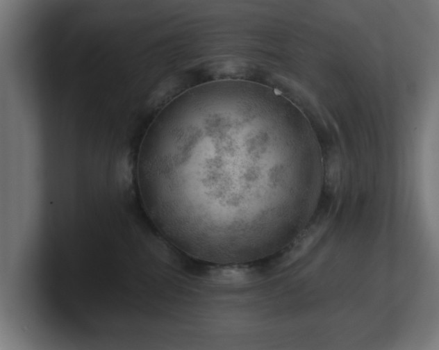 X0000101650282200807171259