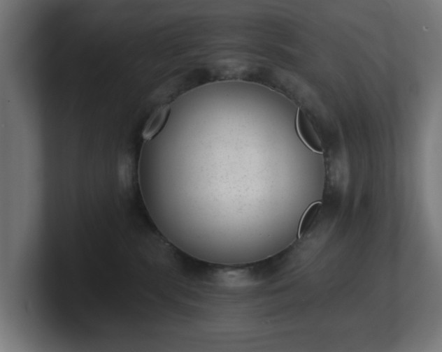 X0000101650283200807171259