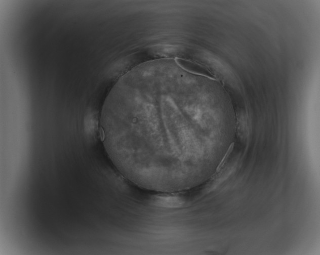 X0000101650284200807171259