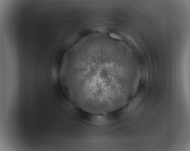 X0000101650285200807171259