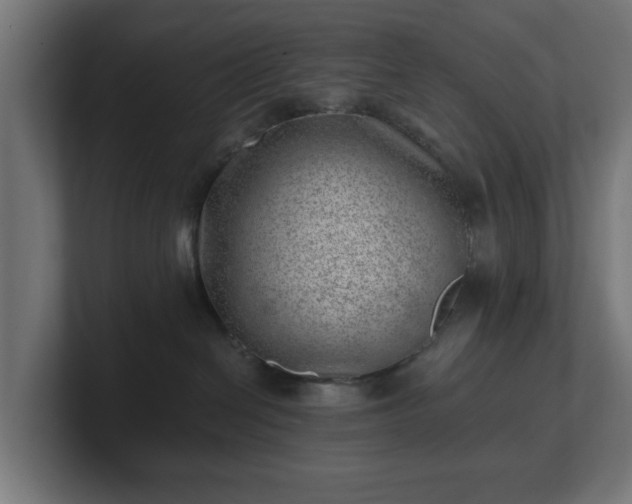 X0000101650286200807171259