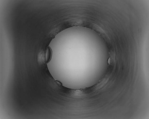 X0000101650287200807171259