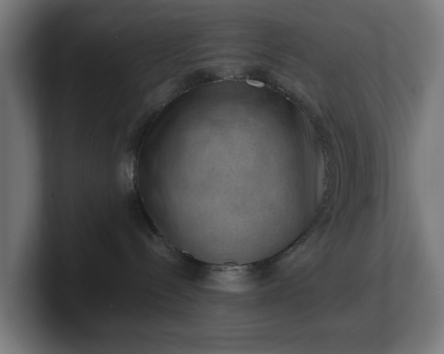 X0000101650288200807171259