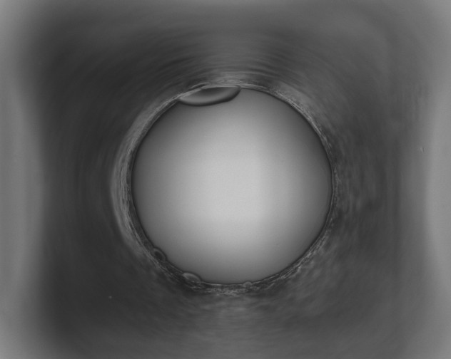 X0000101650289200807171259