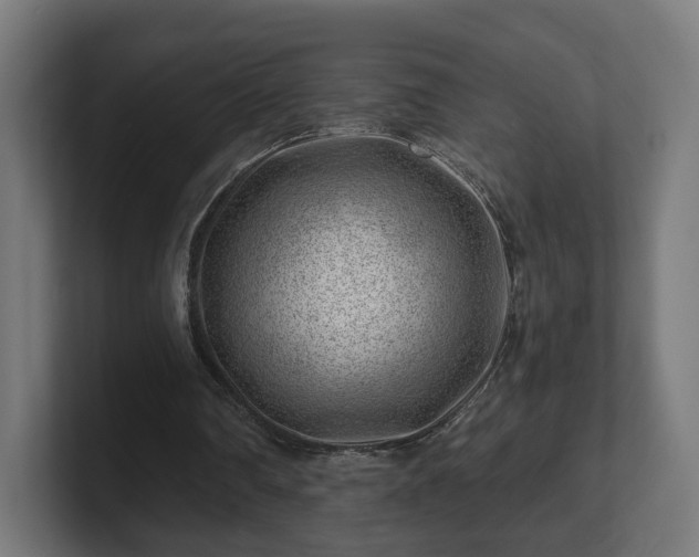 X0000101650290200807171259