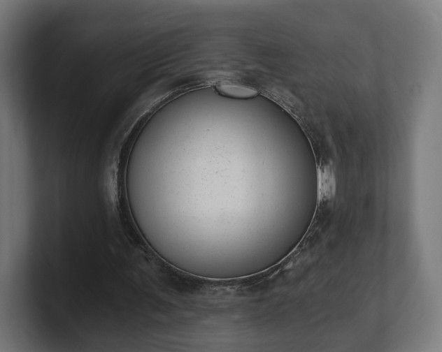 X0000101650291200807171259