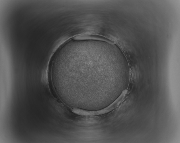 X0000101650292200807171259