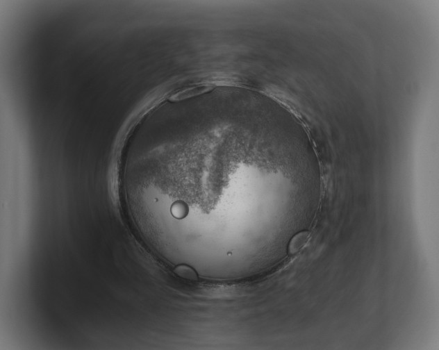 X0000101650293200807171259