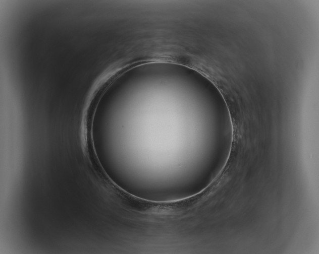 X0000101650294200807171259