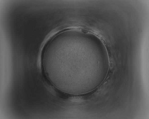 X0000101650296200807171259