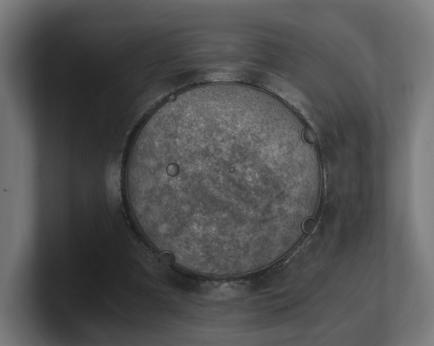 X0000101650297200807171259