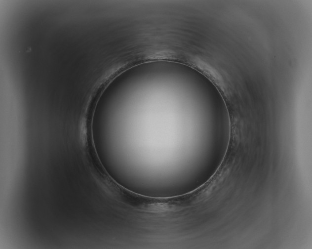 X0000101650298200807171259