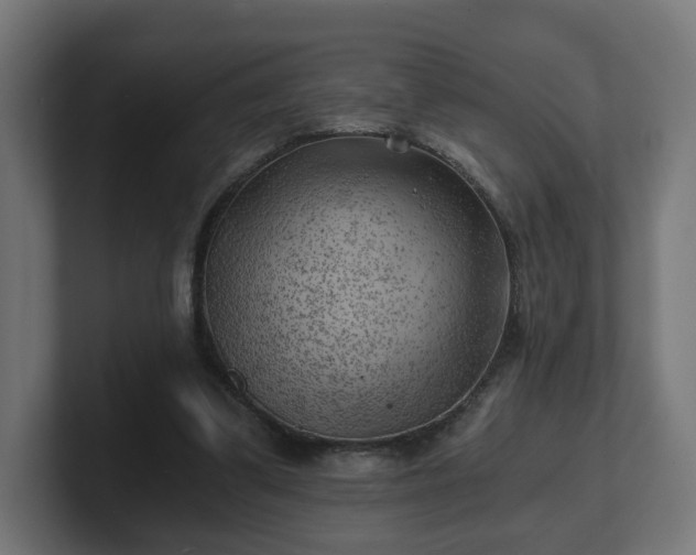 X0000101650299200807171259