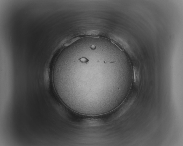 X0000101650300200807171259