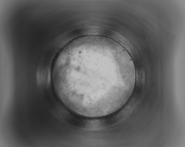 X0000101650301200807171259