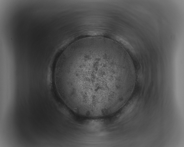 X0000101650303200807171259