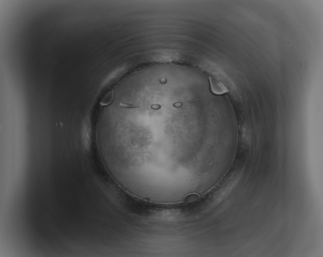 X0000101650304200807171258