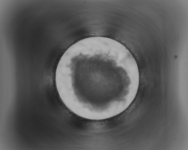 X0000101650305200807171258