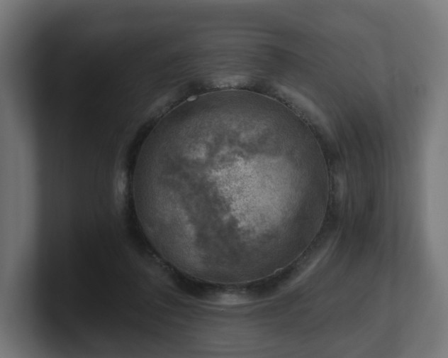 X0000101650308200807171258