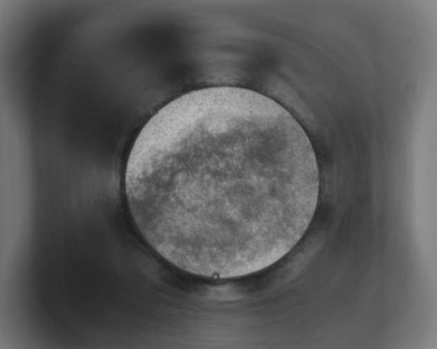 X0000101650309200807171258