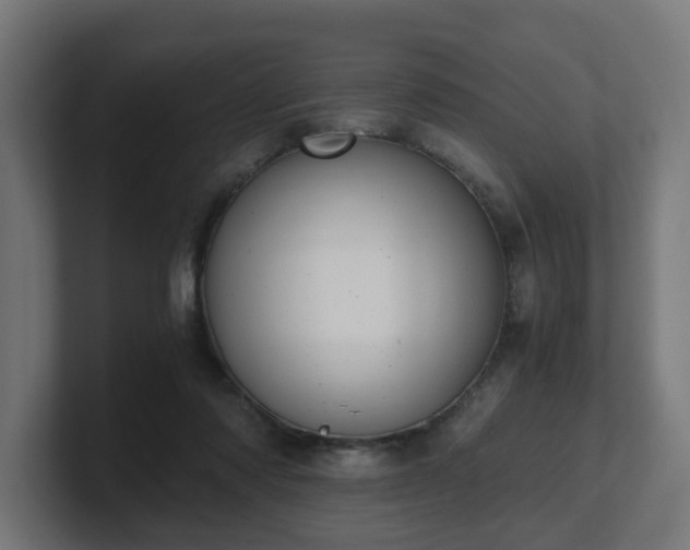 X0000101650310200807171258