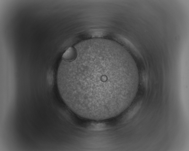 X0000101650311200807171258