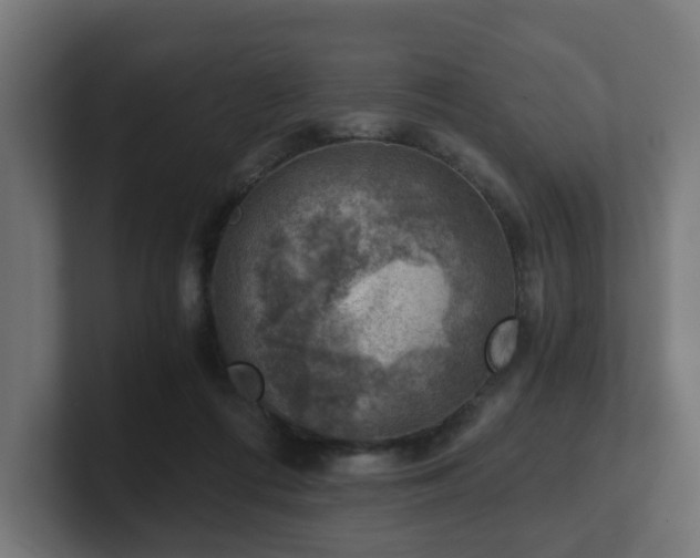 X0000101650312200807171258