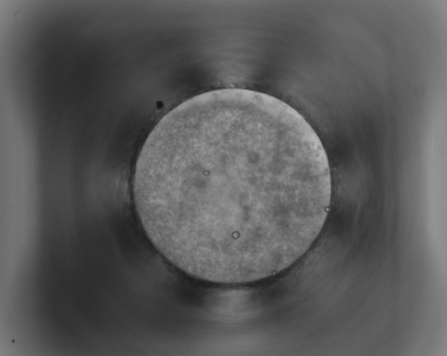 X0000101650313200807171258