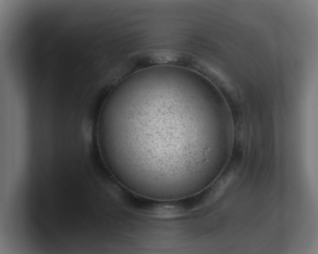 X0000101650315200807171258