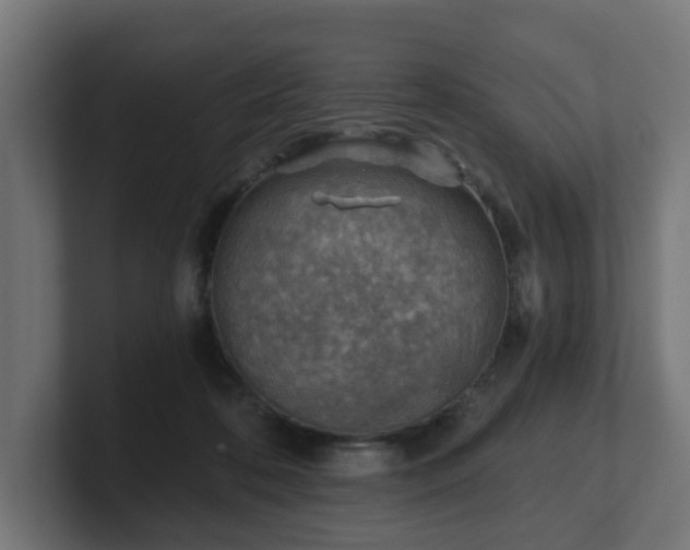 X0000101650316200807171258