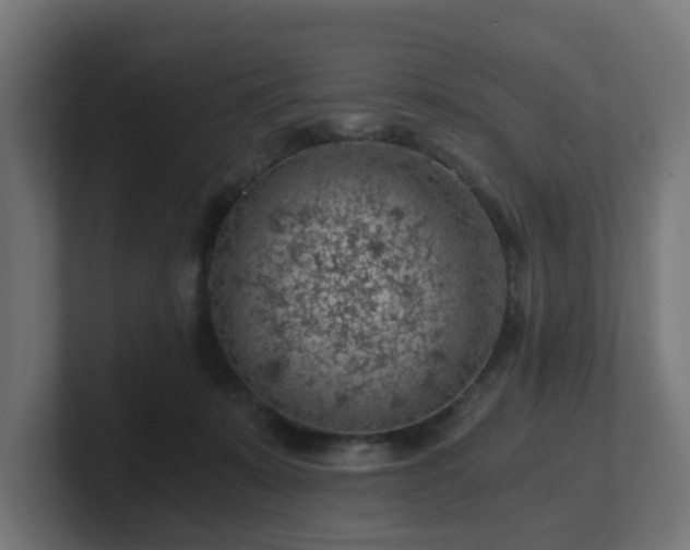 X0000101650319200807171258