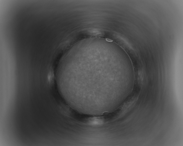 X0000101650320200807171258