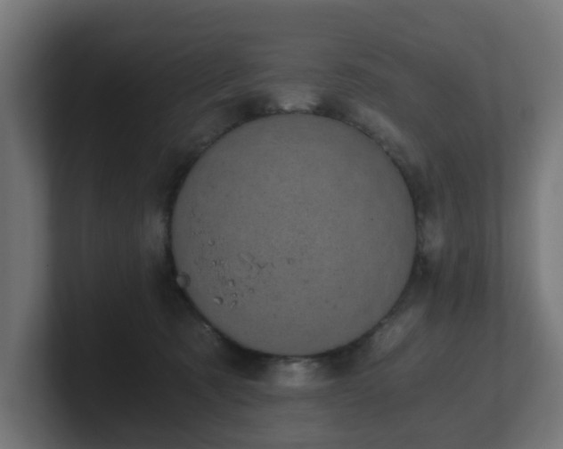 X0000101650321200807171258